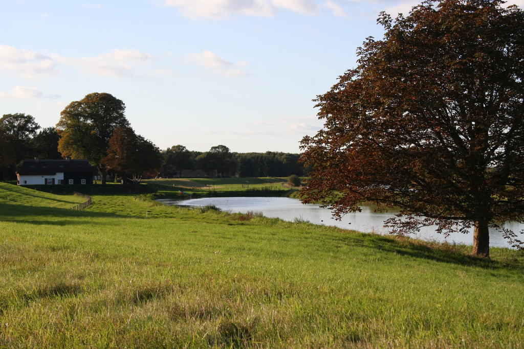 Zwaluwhof Dalfsen Exterior photo